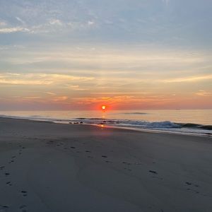 Meet your Posher, Maddie